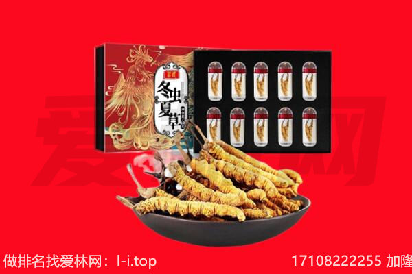 毕节回收虫草.jpg